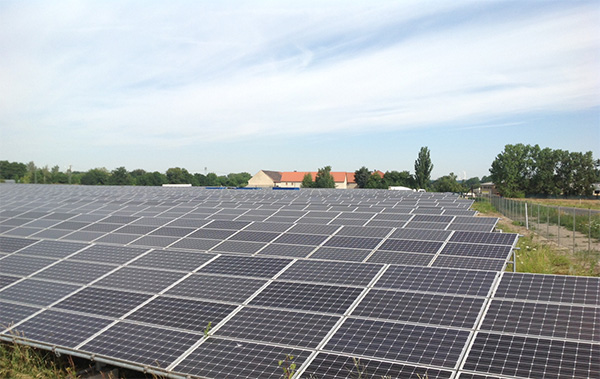 risen solar panels for solar farms