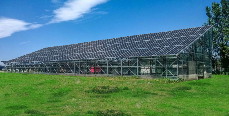 Agrophotovoltaic solution Mysolar